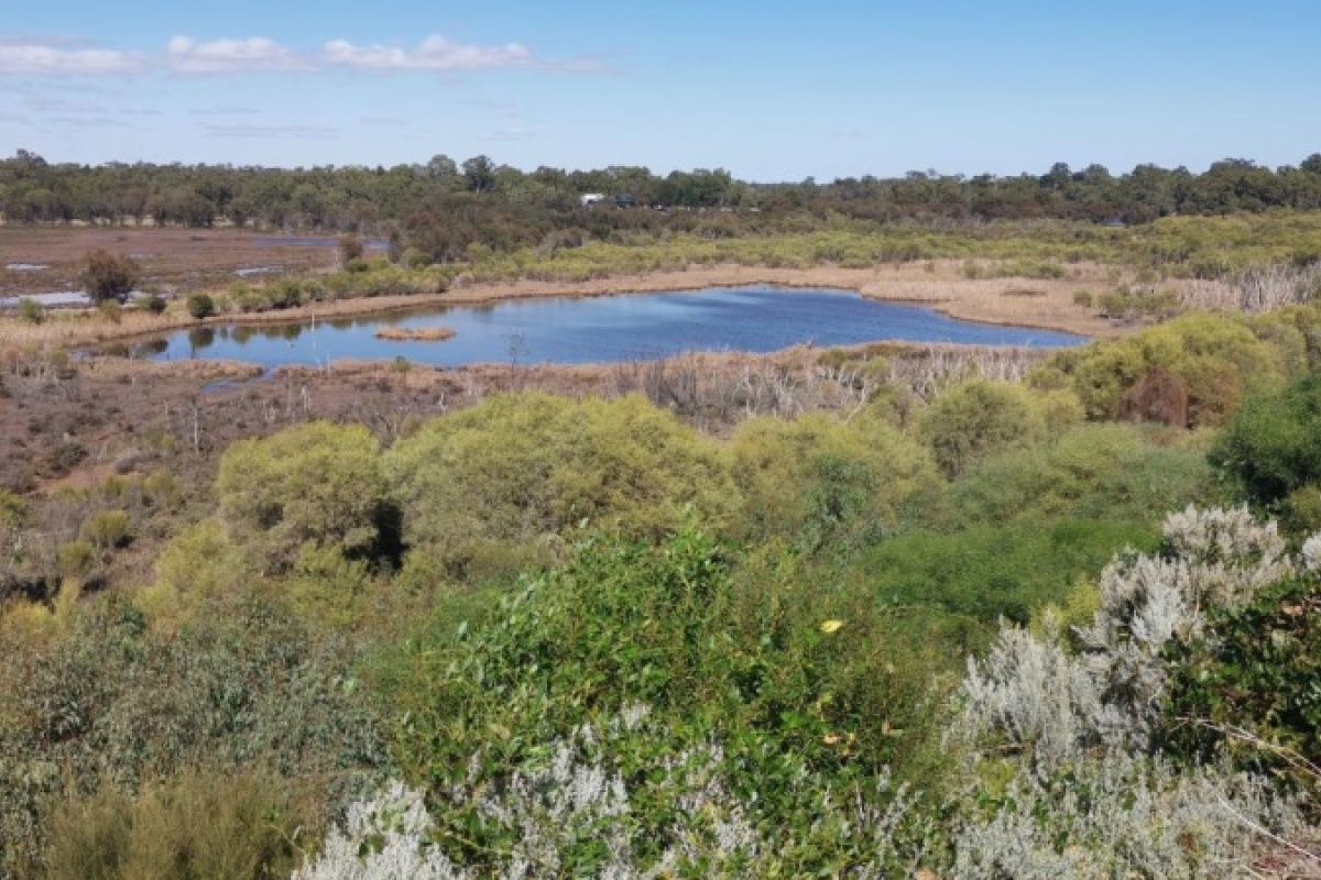 Ashfield Flats lookout