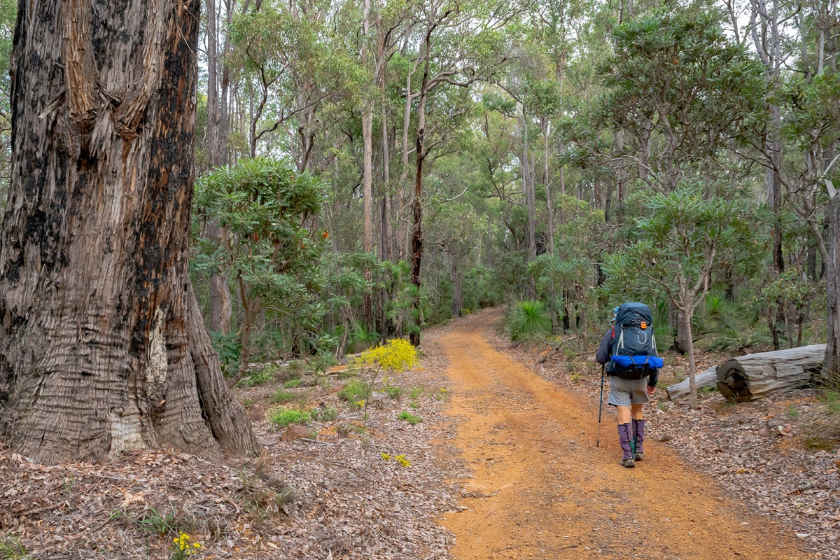 Bibbulmun Track Dwellingup - Photo DBCA