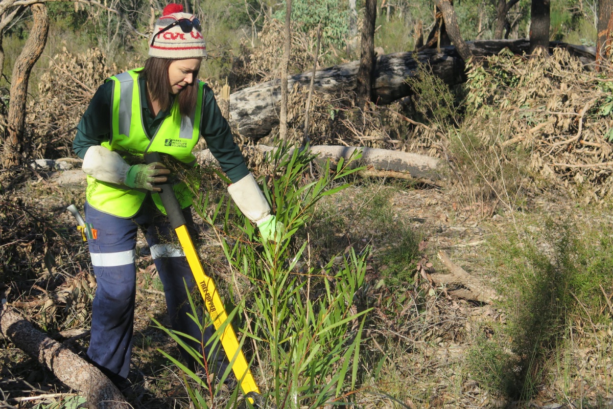 Friends of John Forrest NP
