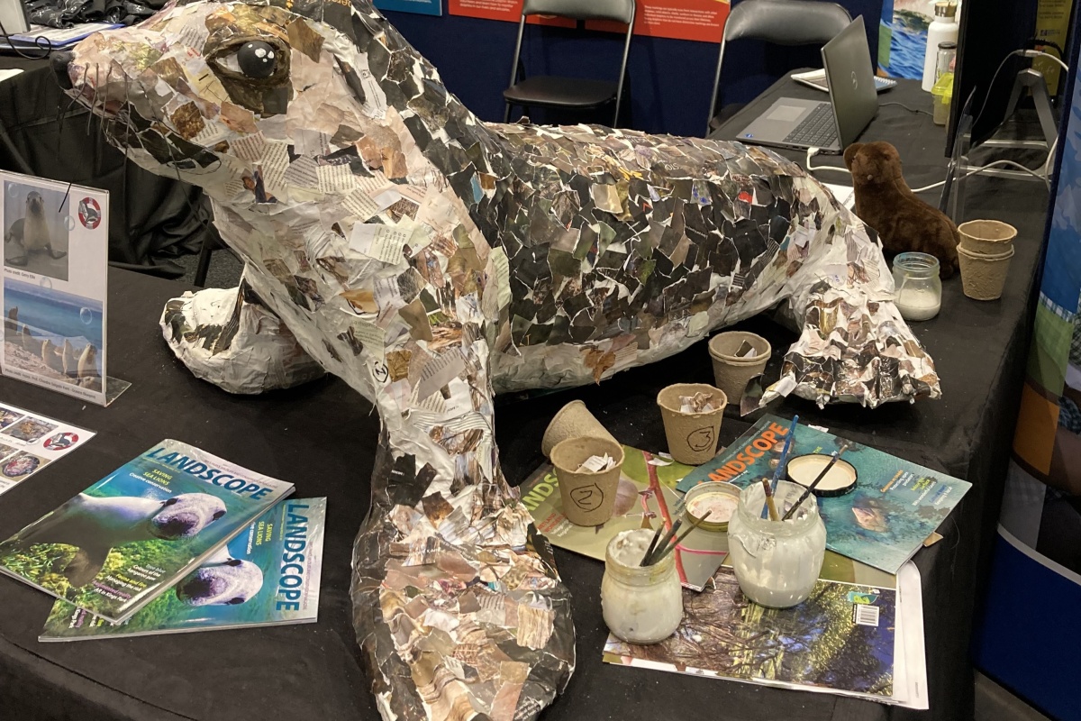 Sealion covered in Landscope paper