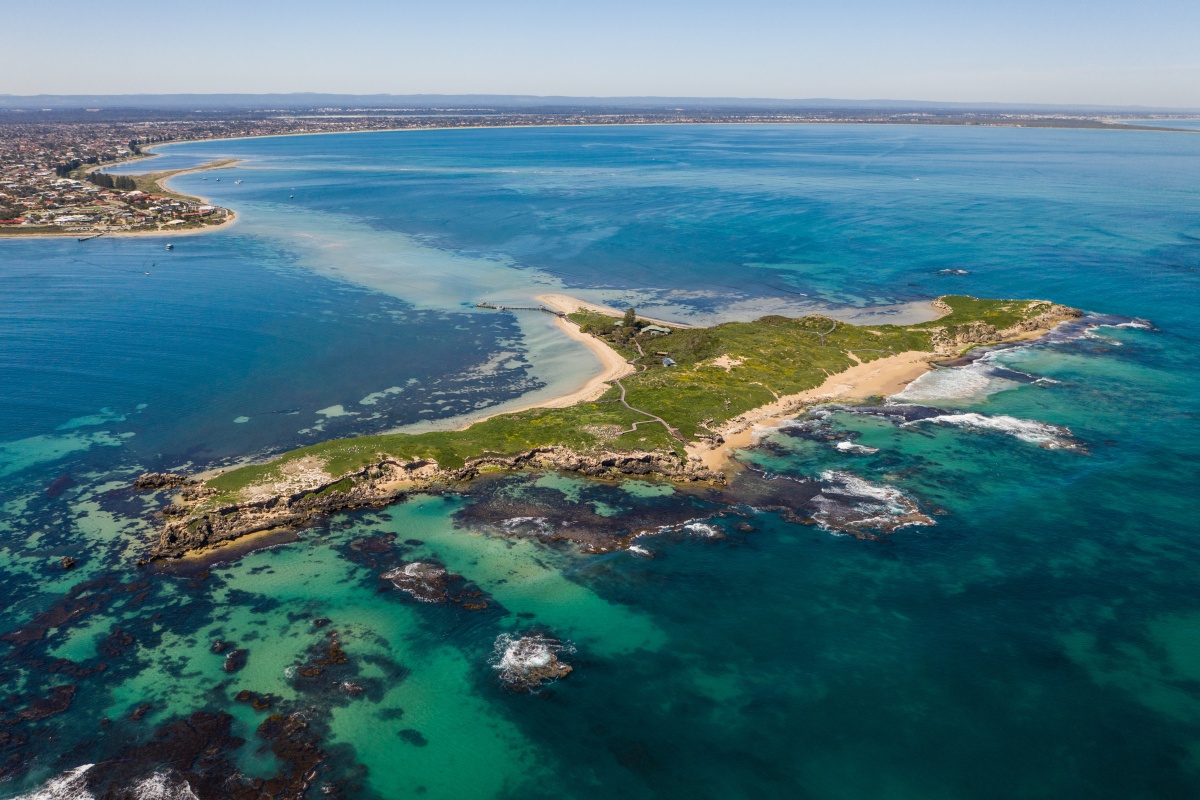 Penguin Island overhead image. Photo Tourism WA