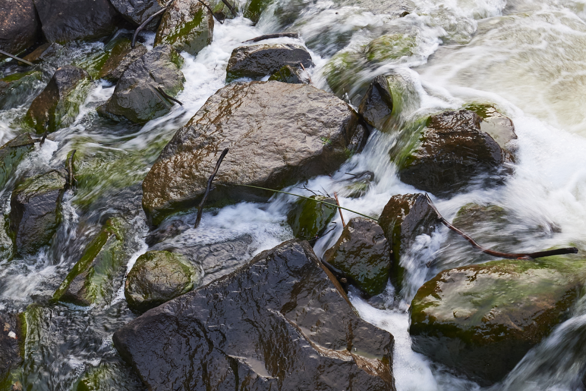 Waterways and wilife Maargaret River