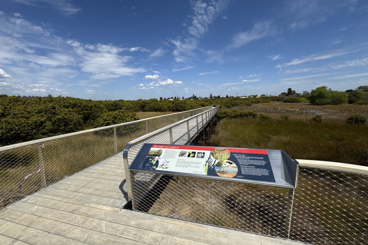 The new Mangrove Cove boardwalk. Photo by Shem Bisluk/DBCA