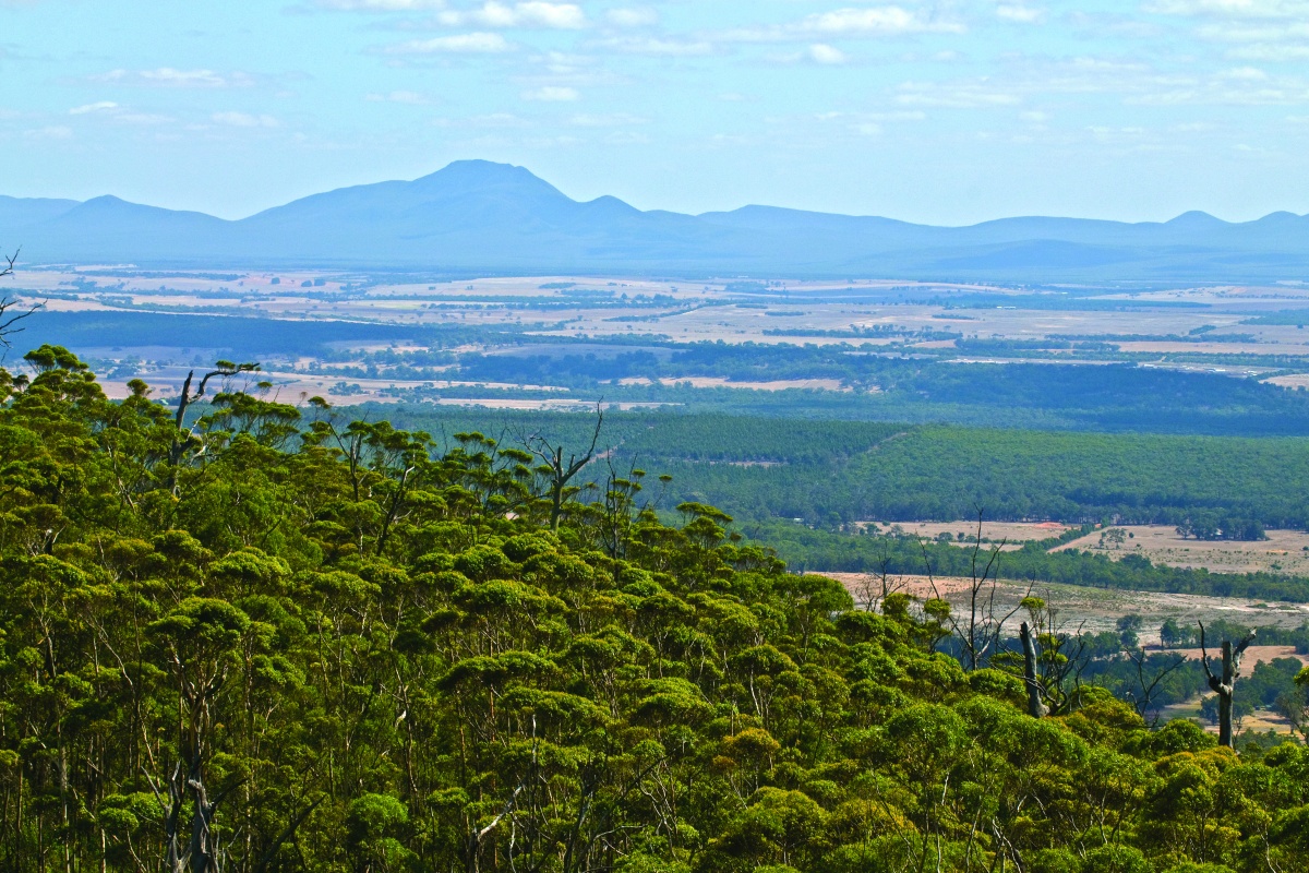 Castle Rock View to Stirling Range. Photo – Marie Lochman