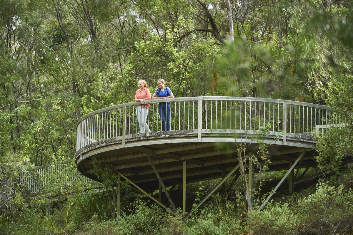 People standing on a viewing platform at Beedelup Falls near Pemberton