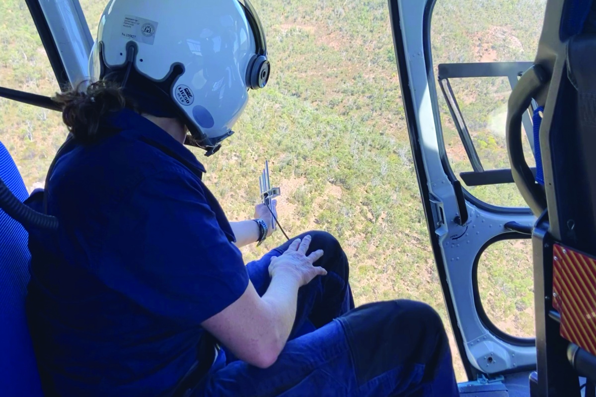 Dr Michelle Drew tracking feral cats from a helicopter. 