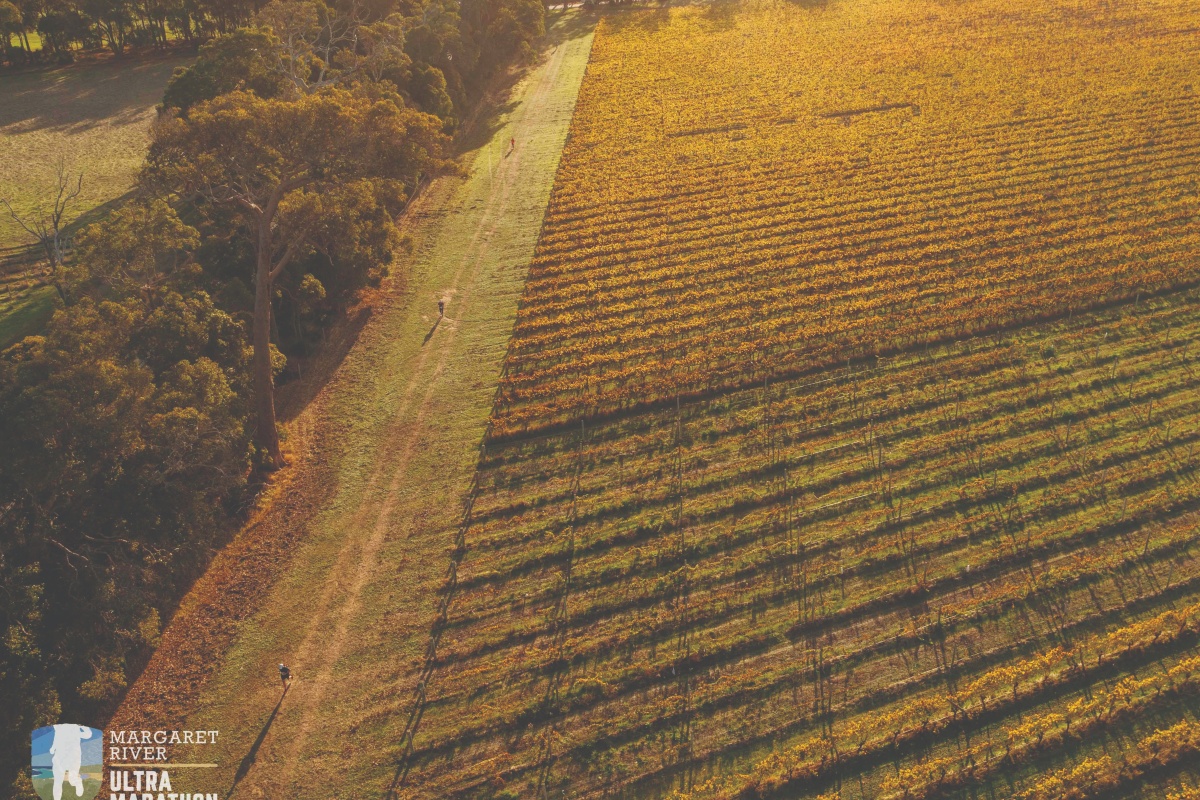 Running through picturesque vineyards. Photo – Rapid Ascent Events 