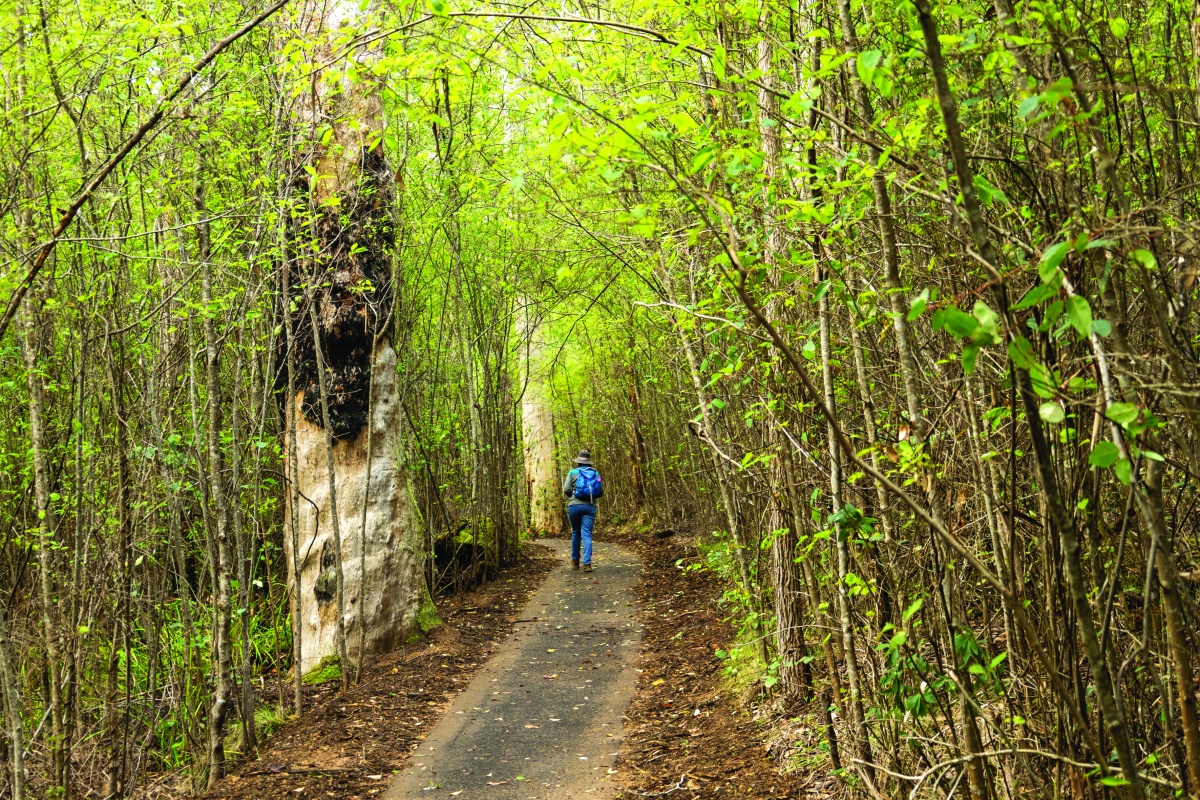 Universal pathways allow easy access to the park. Photos – Cliff Winfield