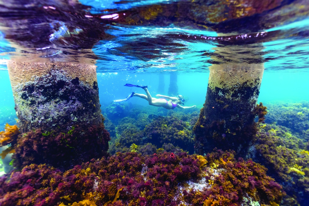 Person swimming underwater at Woody Island, near Esperance. Photo - ©Tourism WA