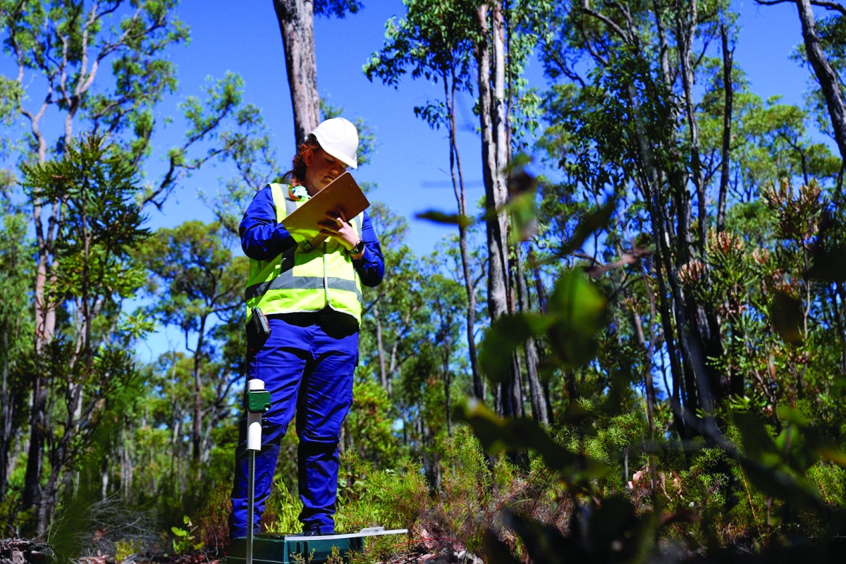  Installing acoustic recording devices. Photo – Samille Mitchell/DBCA  