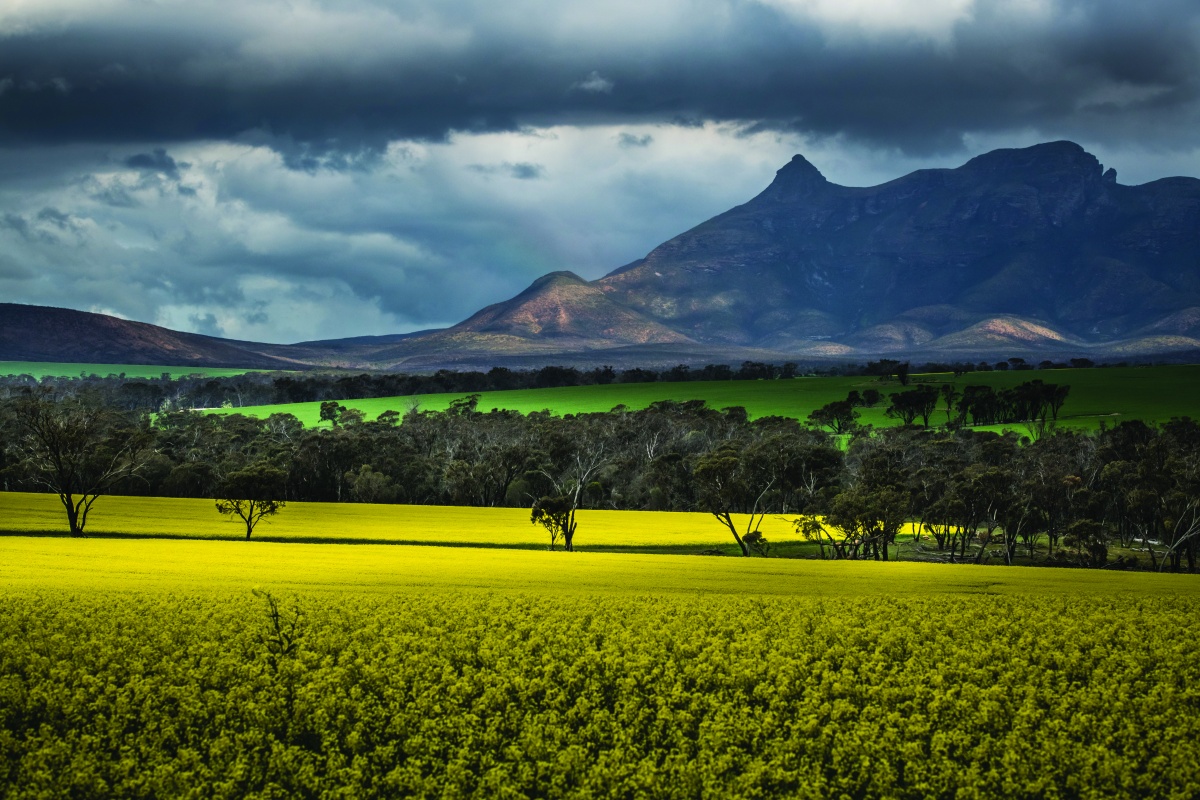Stirling Range is known as Koi Kyeunu-ruff by the local Mineng and Goreng Noongar peoples. Photo – Lex Porebski 