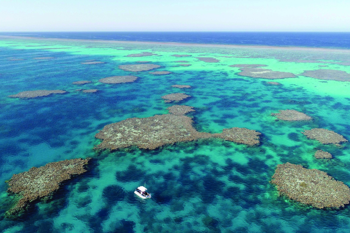 Aerial view of Clerke Lagoon. Photo – Will Robbins 