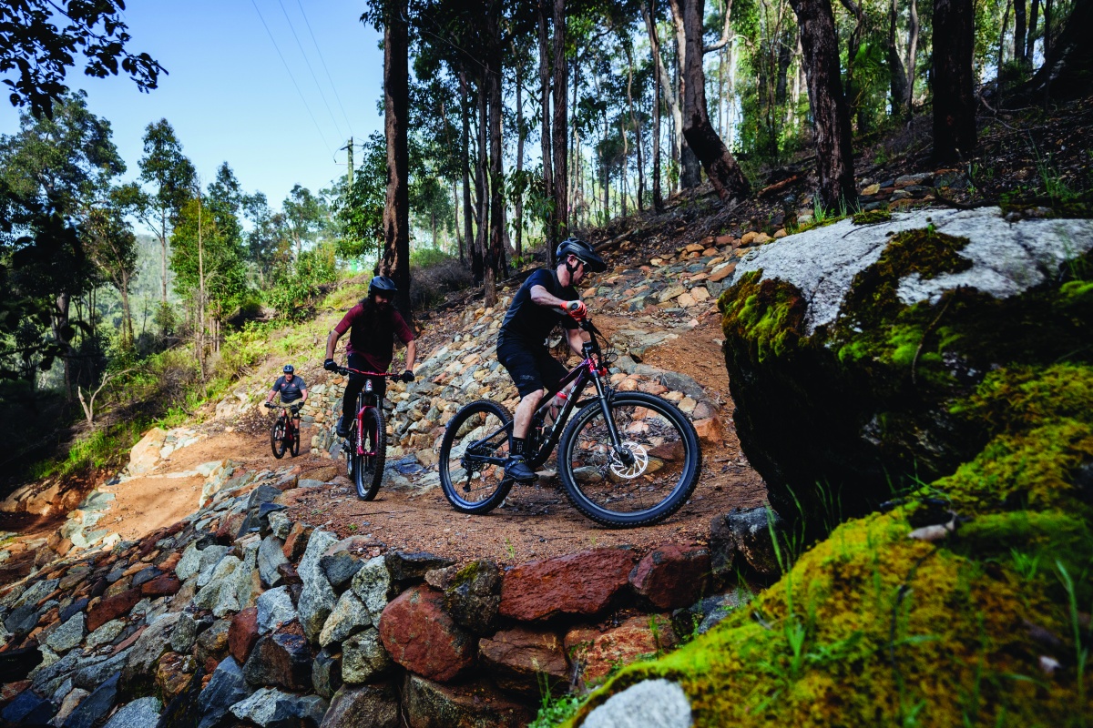 Bicycle riders on the trail Lichen This Trail in Wellington National Park. Photo – Denzil Heeger 