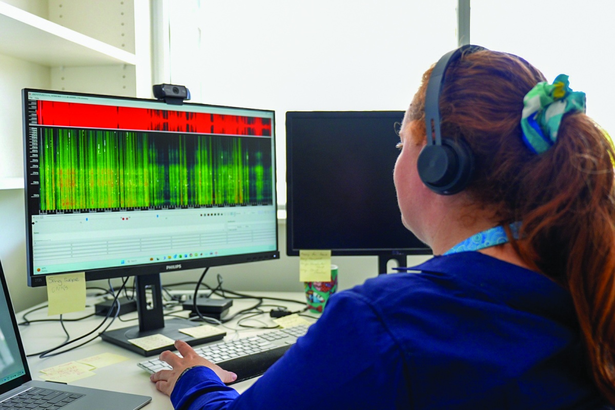 Lauren looking at the computer displaying data of forest sounds