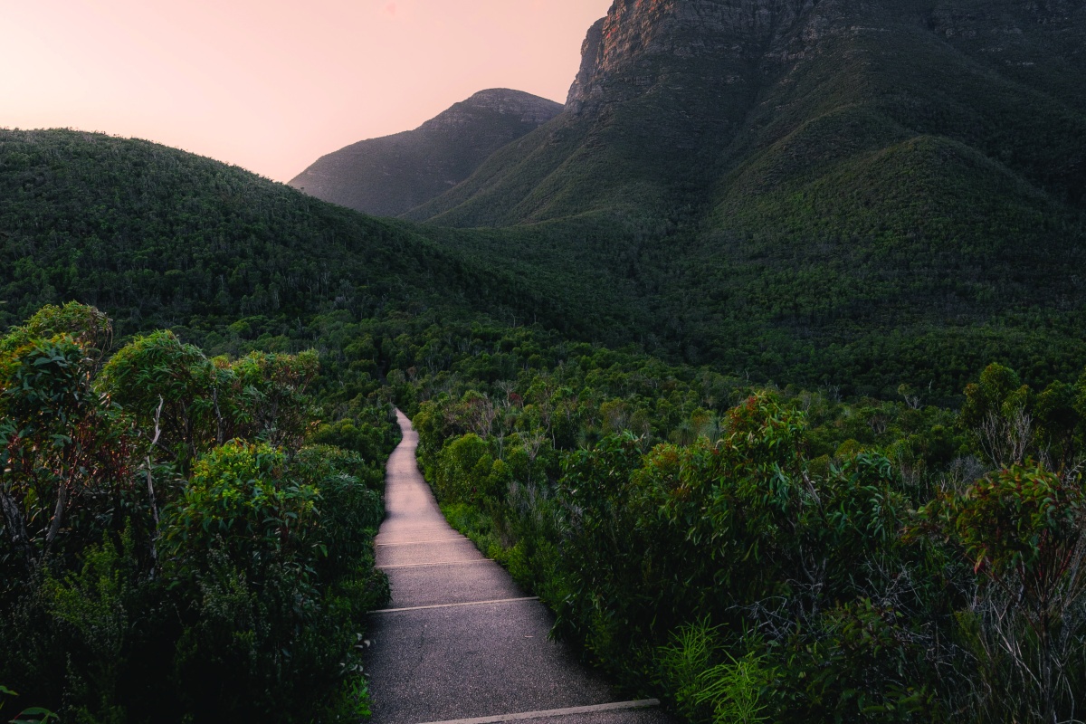 First Light at Bluff Knoll. Photo – Liam Drennan 