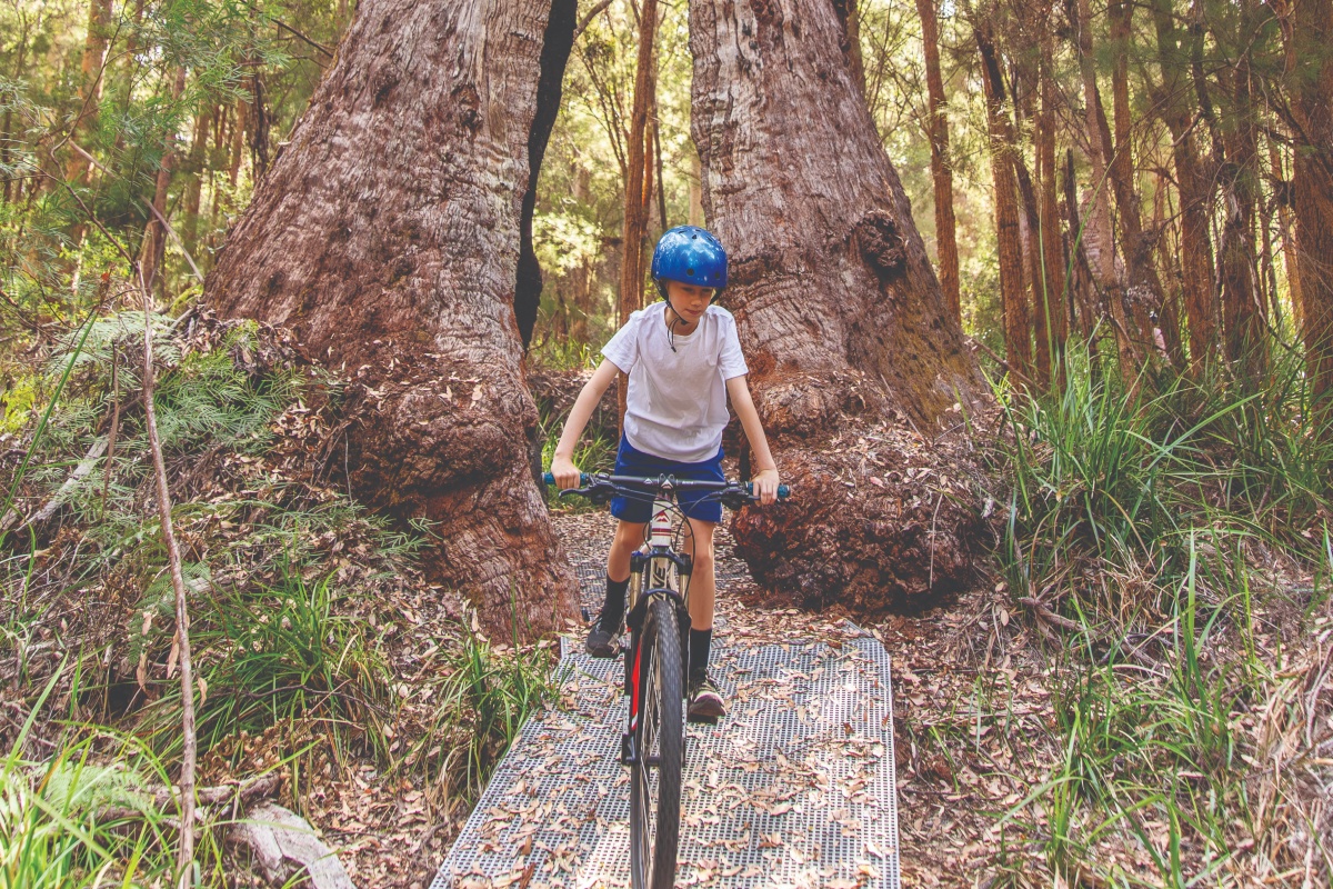 The ‘Ride Through Tree’ is an iconic experience on the trails. Photo - Nic Quinn/Ride On 