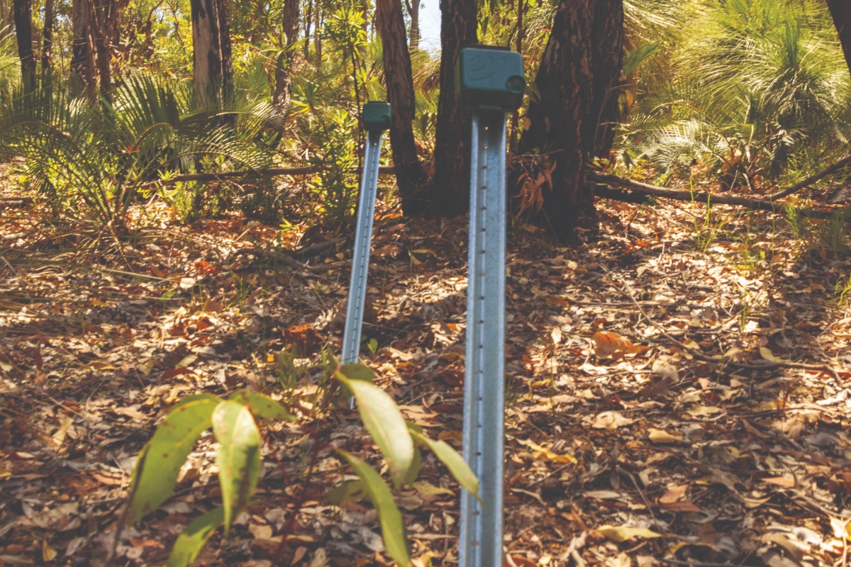 Acoustic recording devices deployed in the Northern Jarrah Forest. Photo – Alan Gill/DBCA 