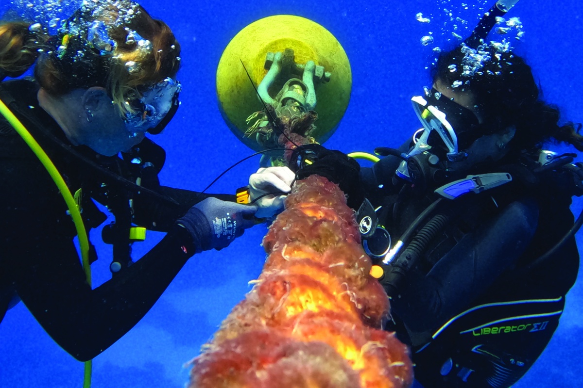 Retrieval and installation of a temperature logger at the Rowley Shoals. Photo – Miecha Bradshaw 