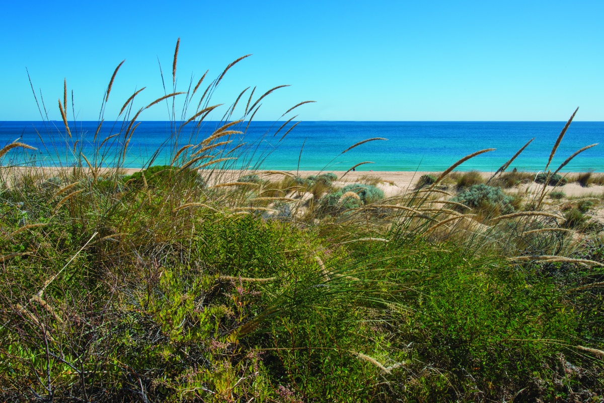 Views of Buffalo Beach at Leschnault Peninsula. Photo – Marie Lochman 