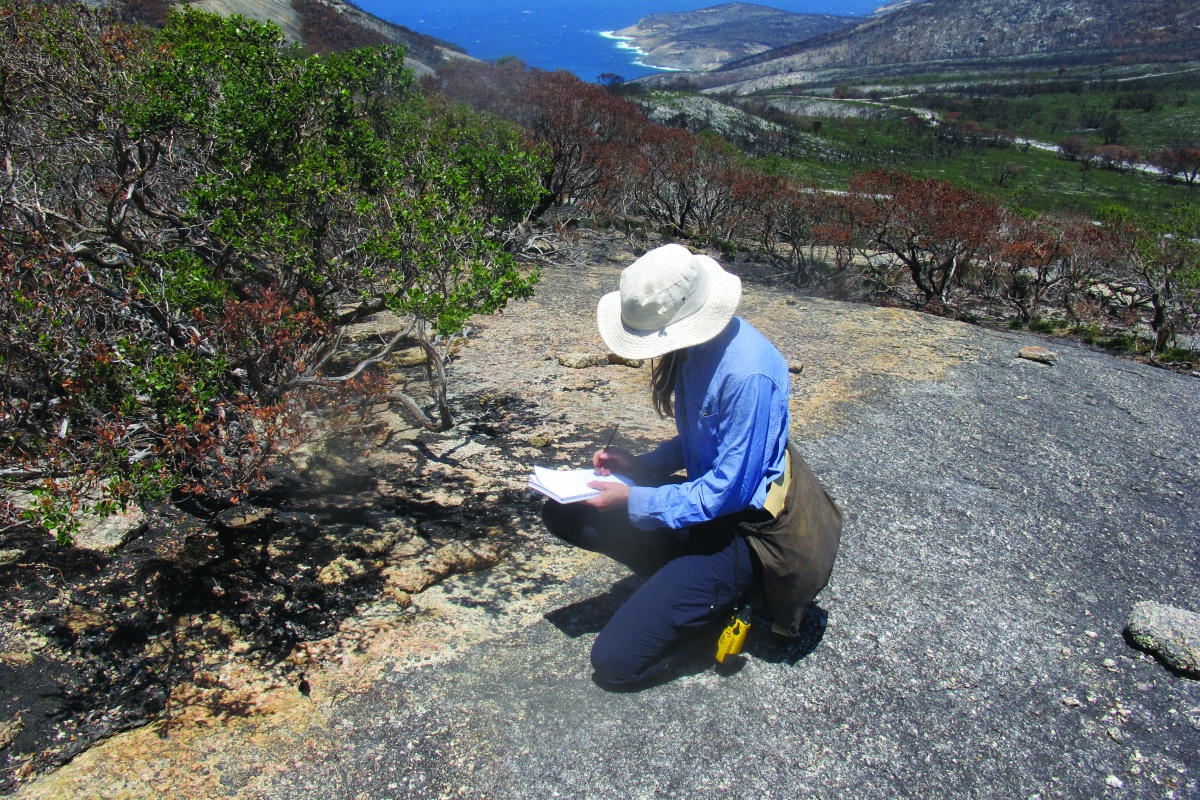 Megan Dilly conducting fieldwork at Two Peoples Bay Nature Reserve. Photo - Megan Dilly/DBCA