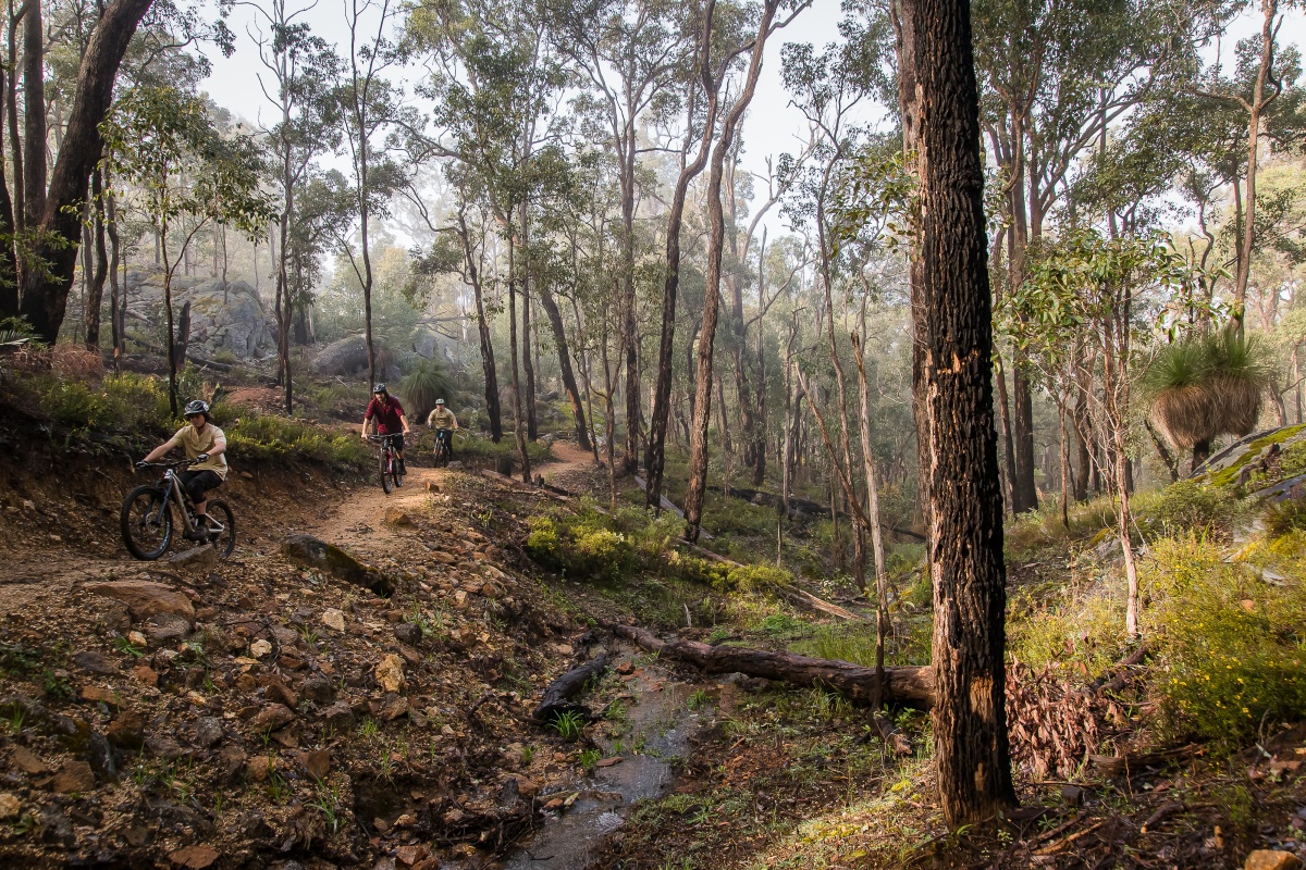Riding along the Collie Trail network. Photo DBCA Riding along the Collie Trail network