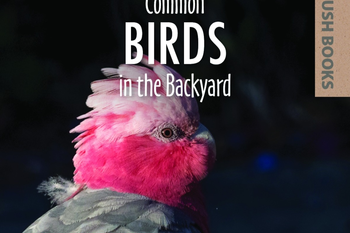 Birds in the backyard bush book image cover