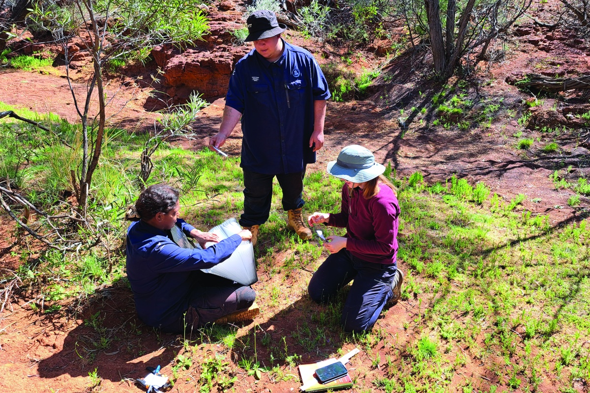 Aboriginal rangers in the midwest employed through Plan for Our Parks. Photo – DBCA 