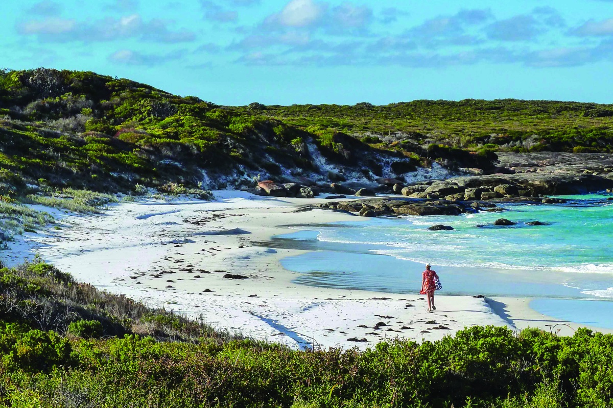 south_coast_cbi-318.jpg
