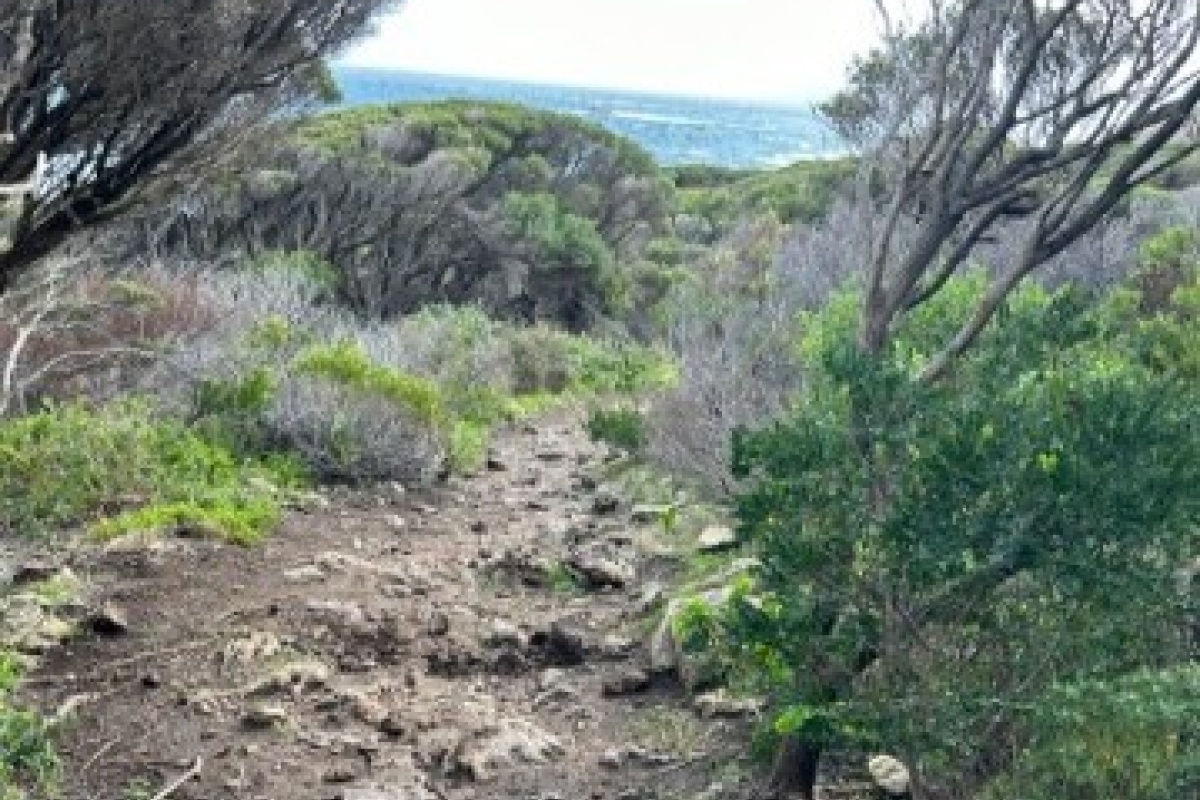 Trail before upgrades between Smiths Beach and Wyadup, at Moses Rock. Photo DBCA Trail before upgrades between Smiths Beach and Wyadup, at Moses Rock. Photo DBCA
