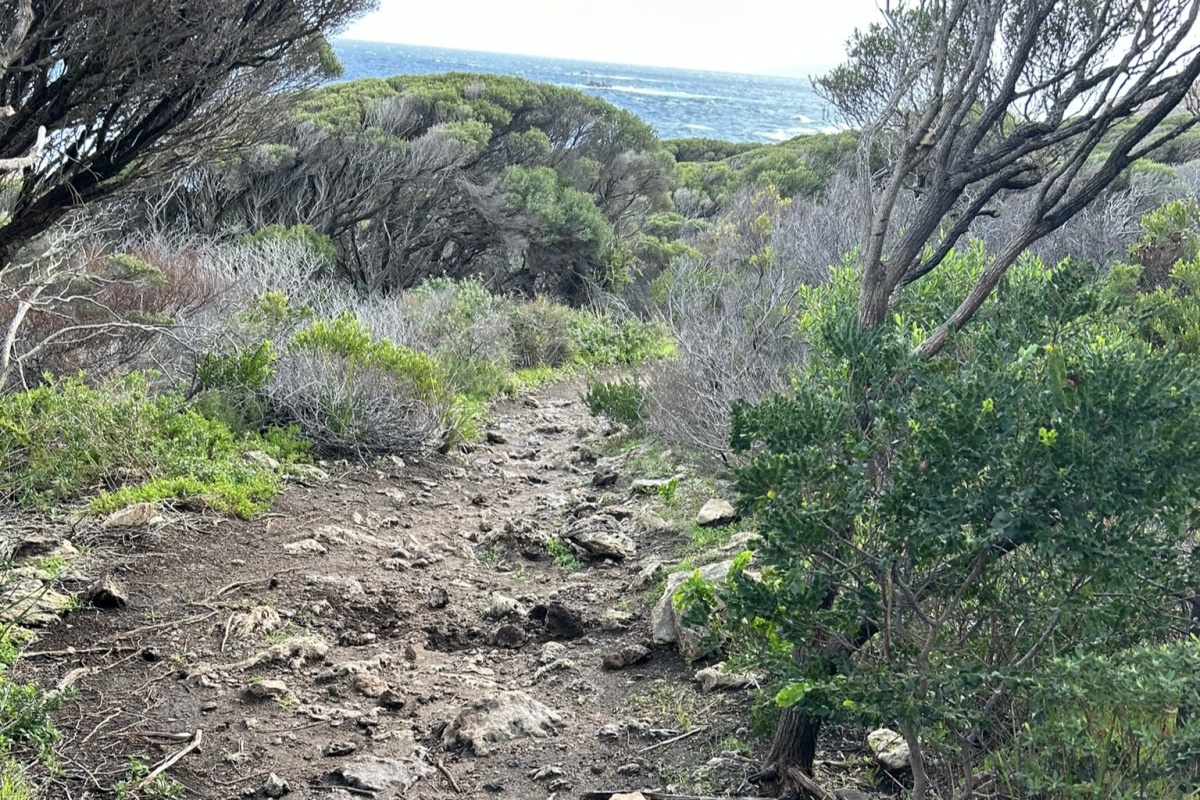 Trail before upgrades between Smiths Beach and Wyadup, at Moses Rock. Photo DBCA