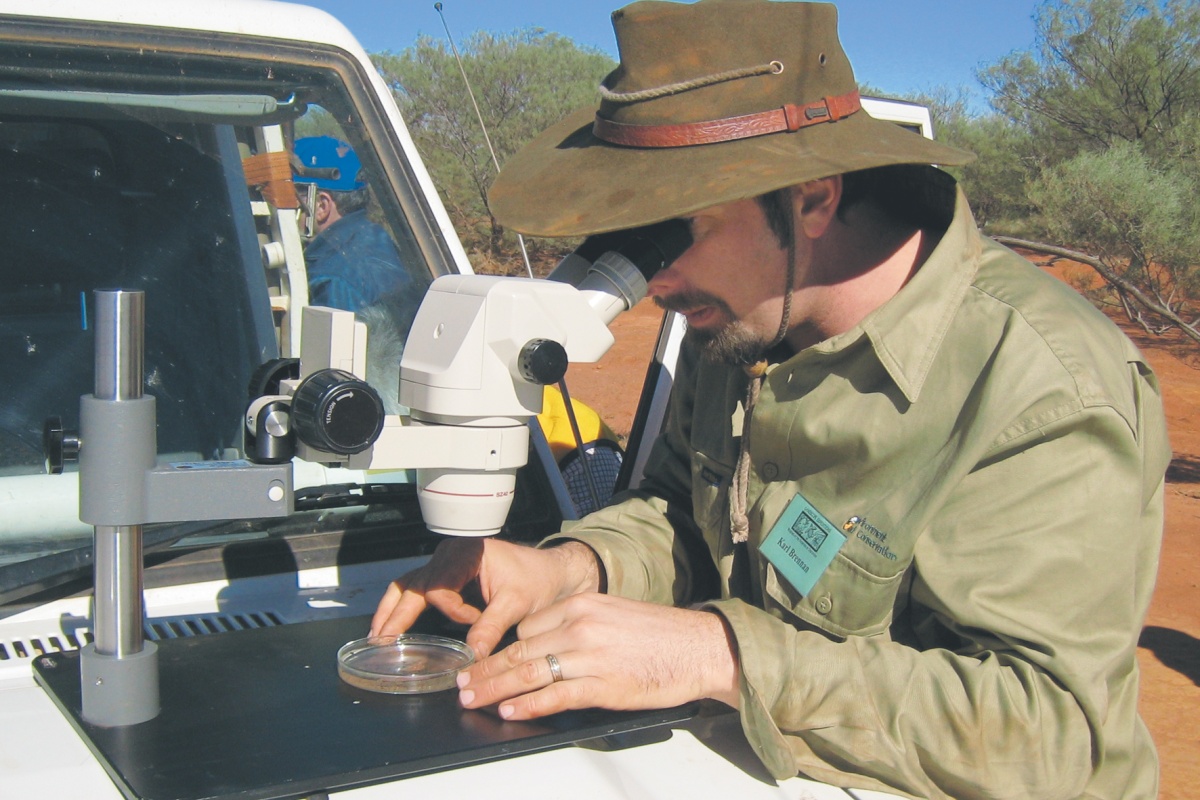 Examining entomological specimens along the Canning Stock Route. Photo - Andrew Spiers
