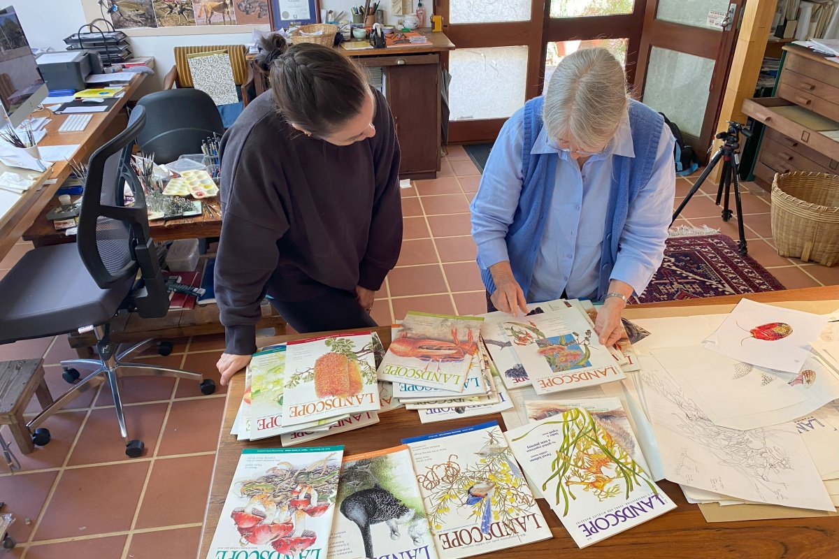 Philippa alongside a selection of LANDSCOPE covers featuring her illustrations. Photo – Peter Nicholas/DBCA 
