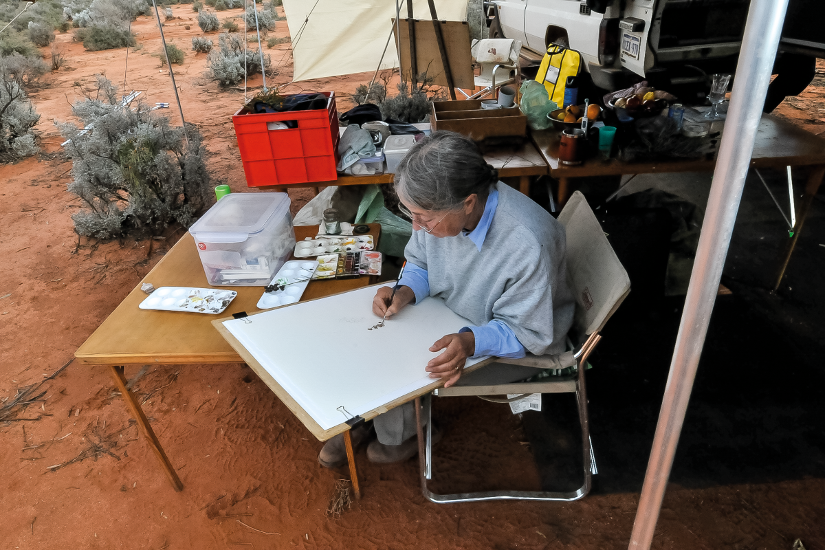 Philippa has travelled most of WA observing and drawing wildlife. Photo – Alex Nikulinsky