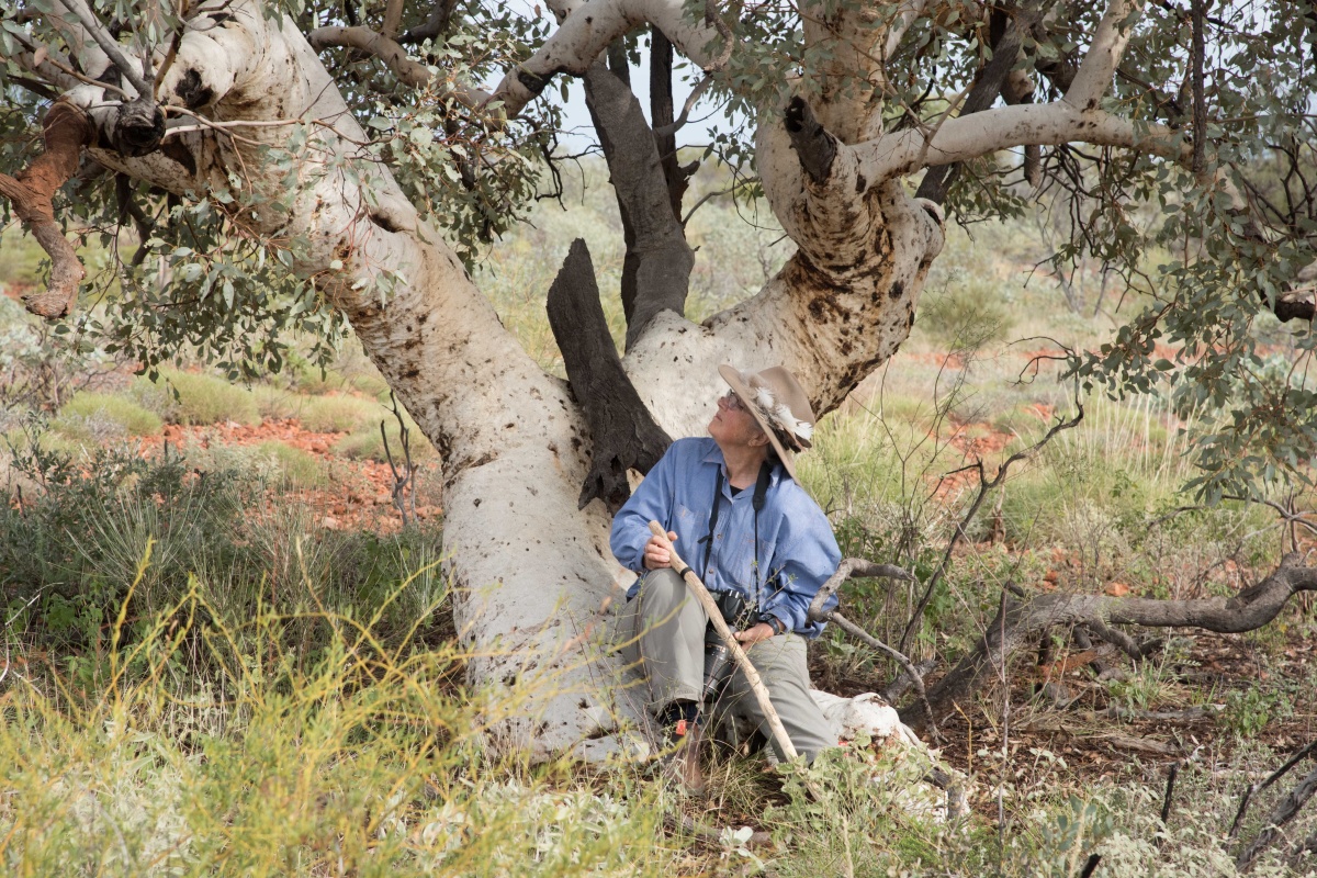 Philippa in the bush on a field trip Balfour Downs East Pilbara. Photo – Alex Nikulinsky 