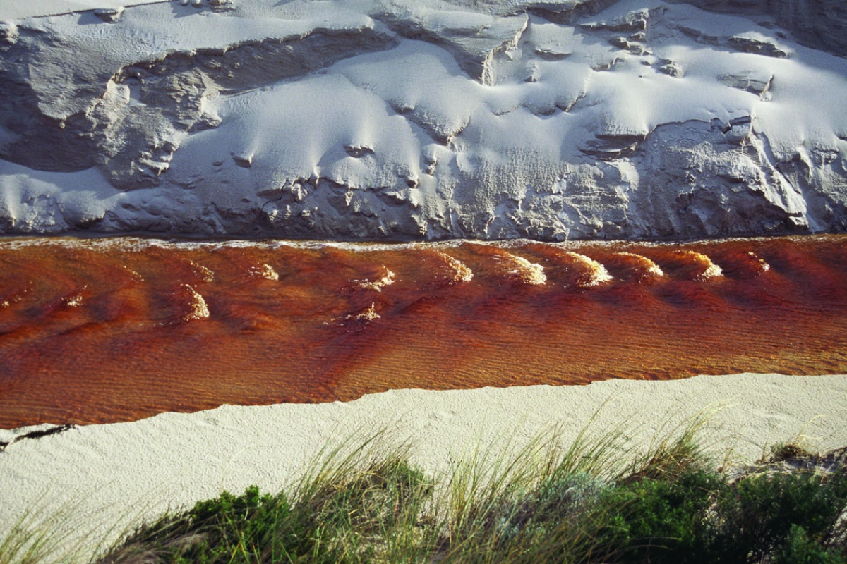 Tannin-stained creek flowing through the dunes at Conspicuous Cliff, Walpole-Nornalup National Park. Photo – Cliff Winfield
