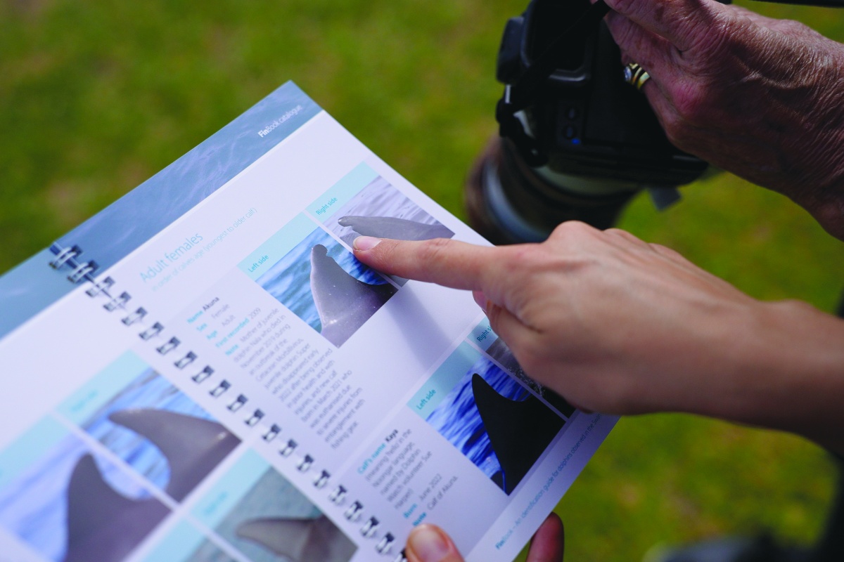 Volunteers using the FinBook to identify dolphins on the Swan River. Photo - DBCA
