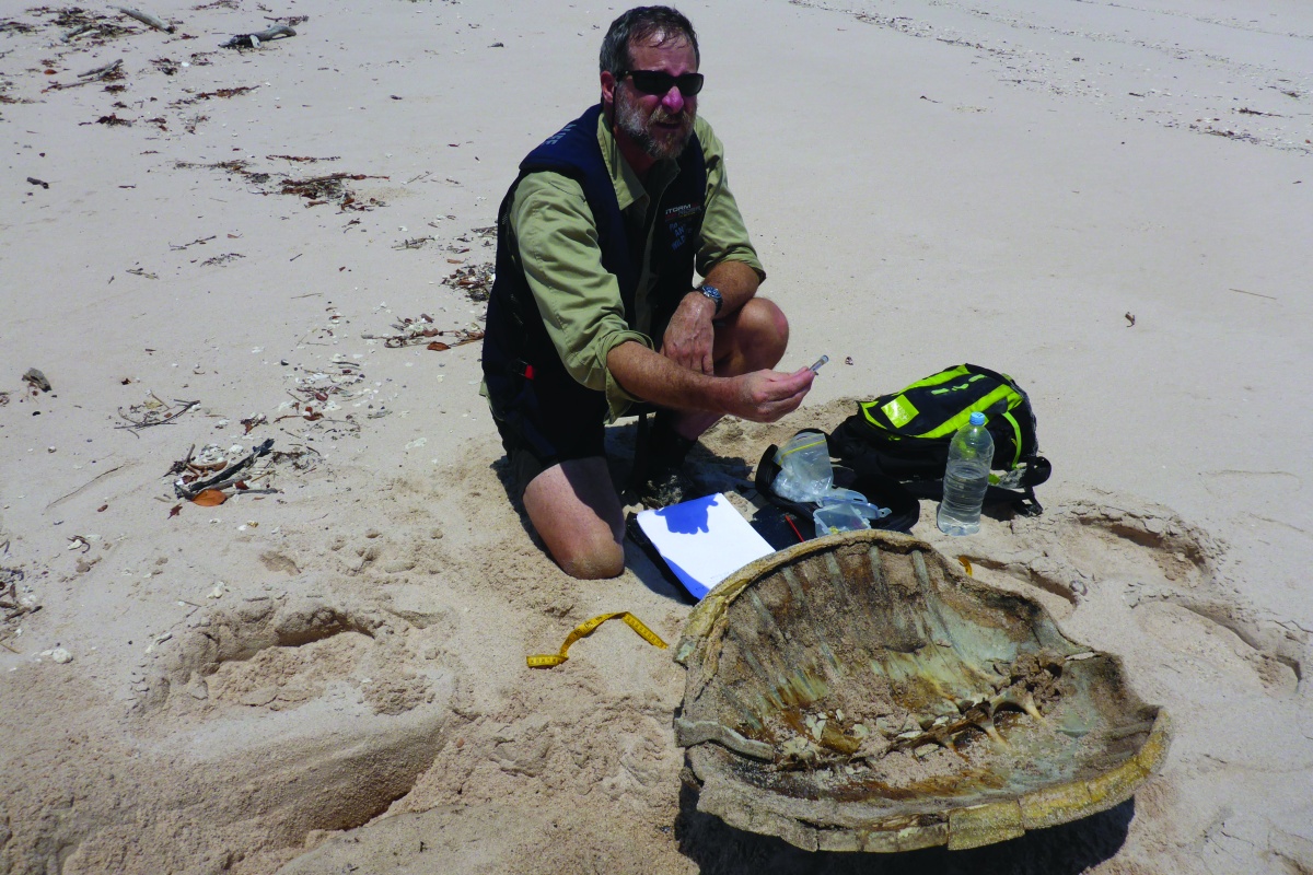 Tony on the sand with a turtle shell in the foreground