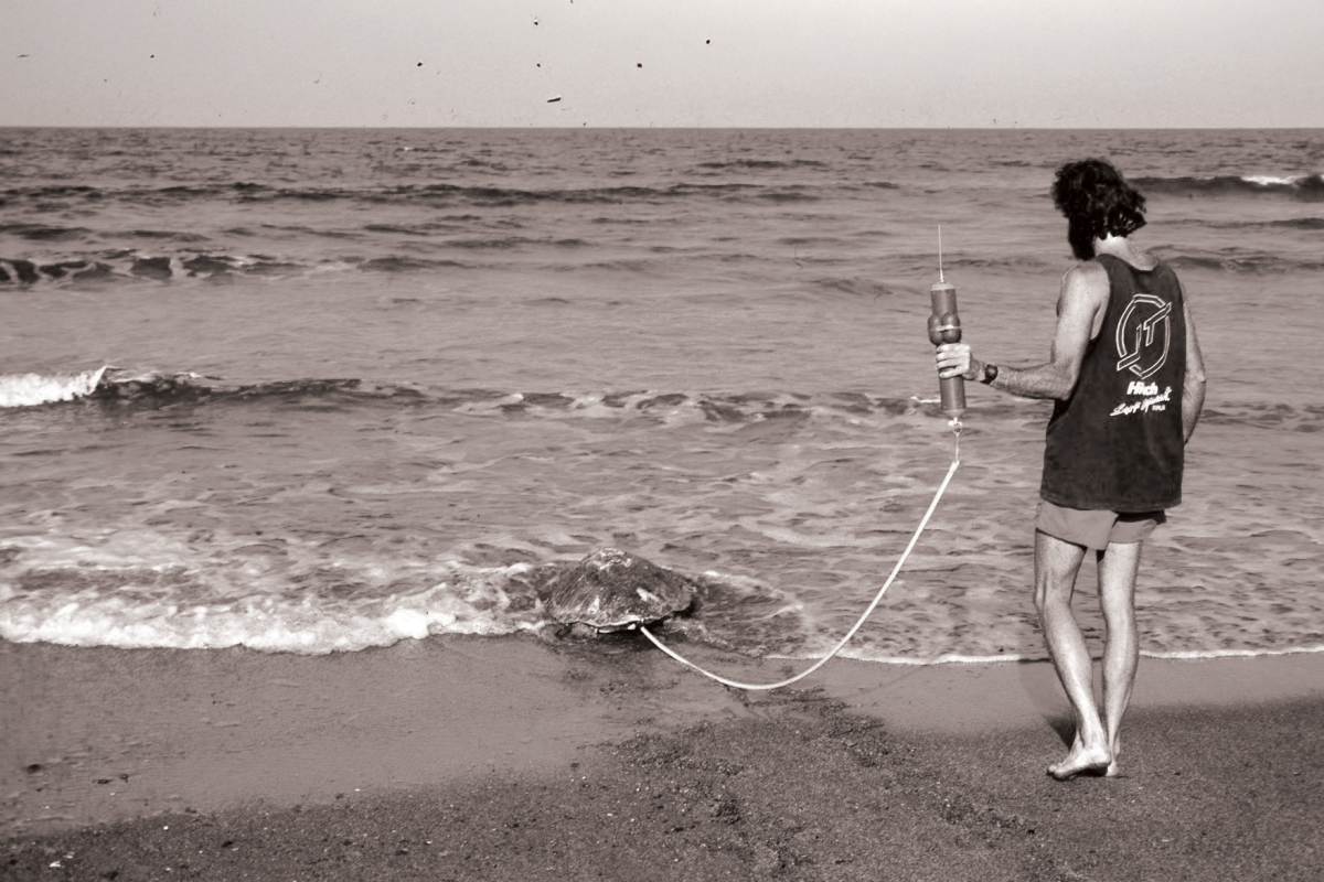 Tracking loggerhead turtles using VHF technology in Queensland 1992. Photo - Col Limpus