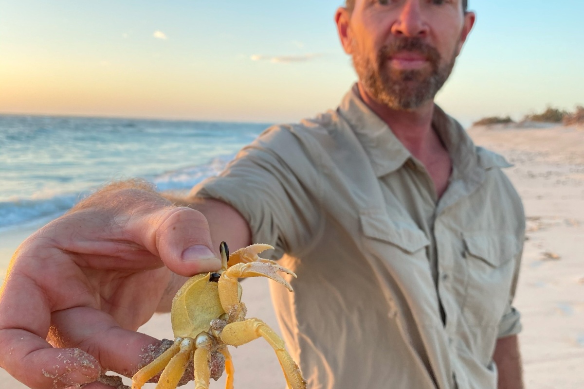 Casper stands on the beach holding a golden ghost crab between his fingers as the sun is setting. 