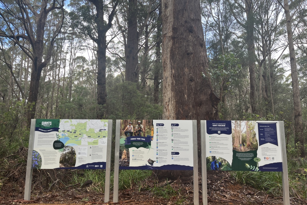 Three large signs in the forest depict the mountain bike trails and information for visitors.