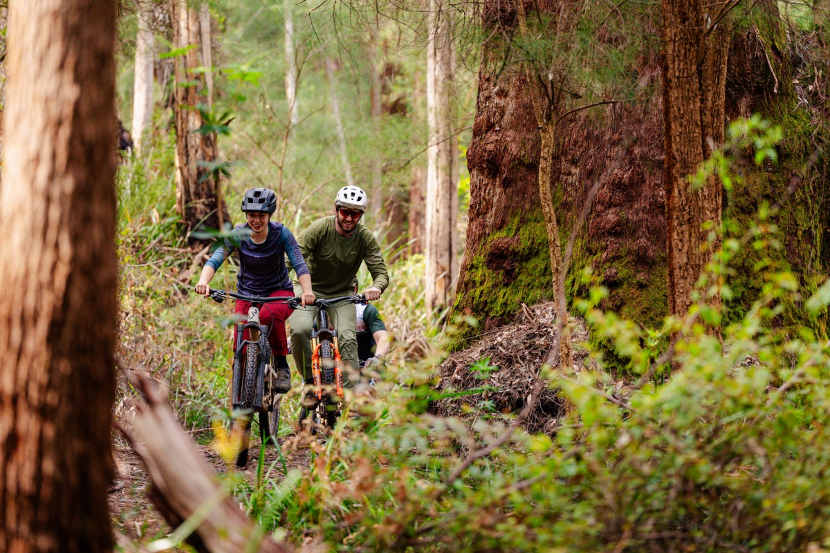 Two mountain bike riders enjoying a ride through the forest.