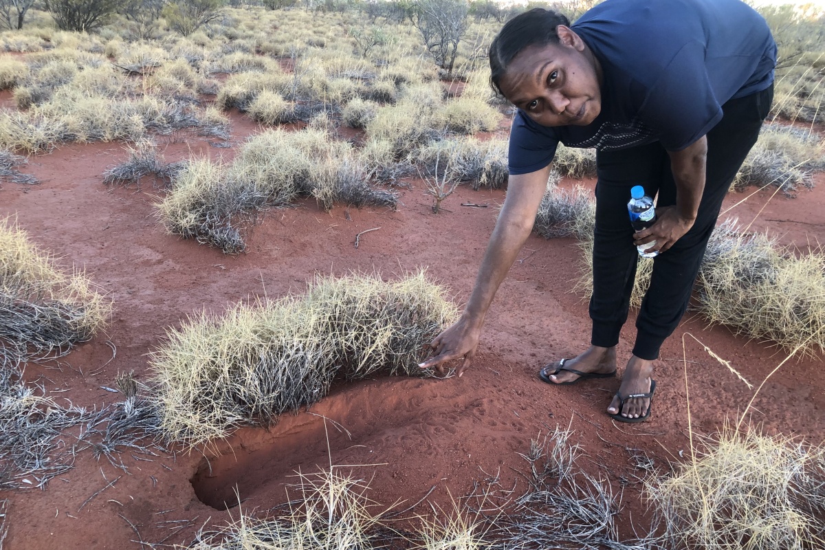A female Indigenous ranger points out a Tjakura burrow in the desert