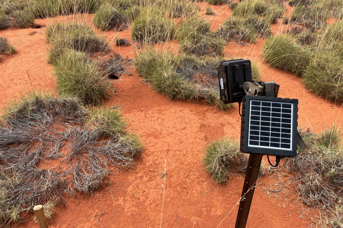 A solar powered camera is set up in the desert