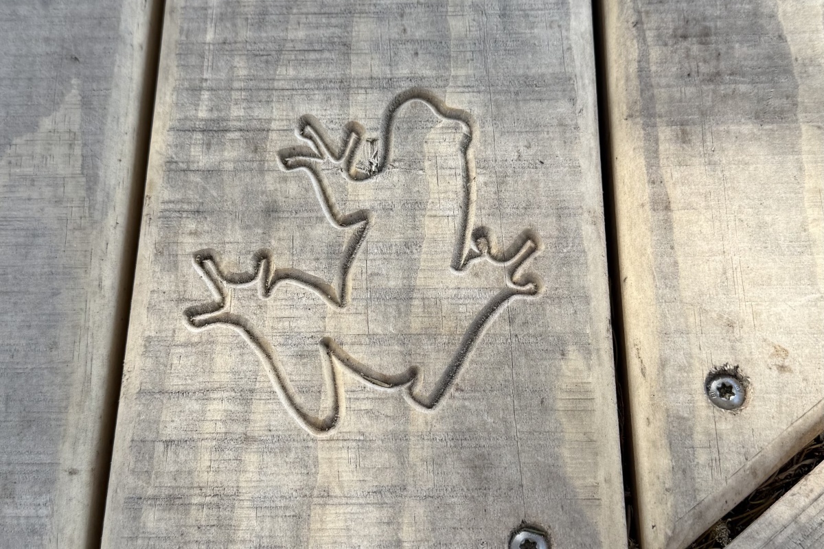 A frog is etched into the boardwalk