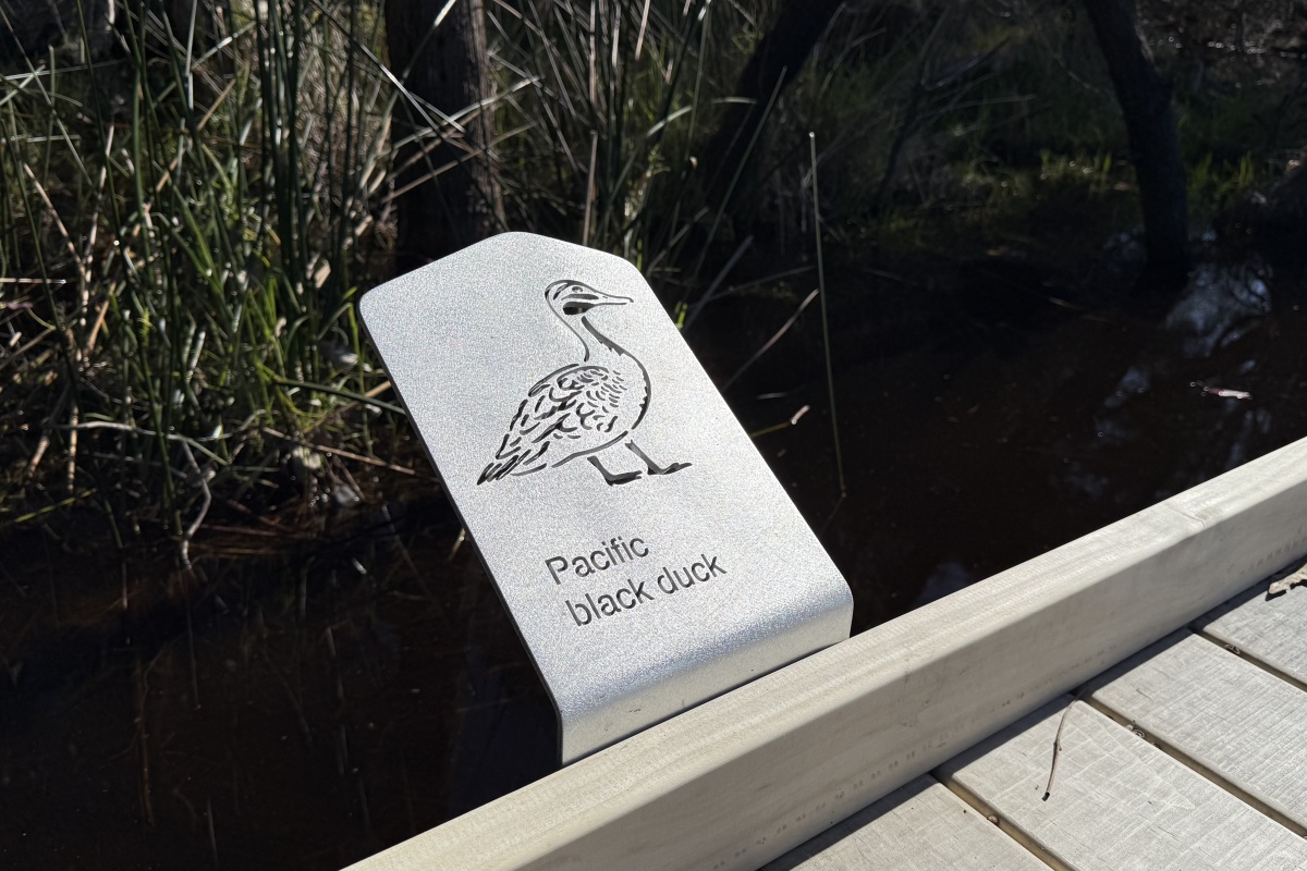 A laser cut sign of a Pacific black duck on metal, attached to the side of the boardwalk
