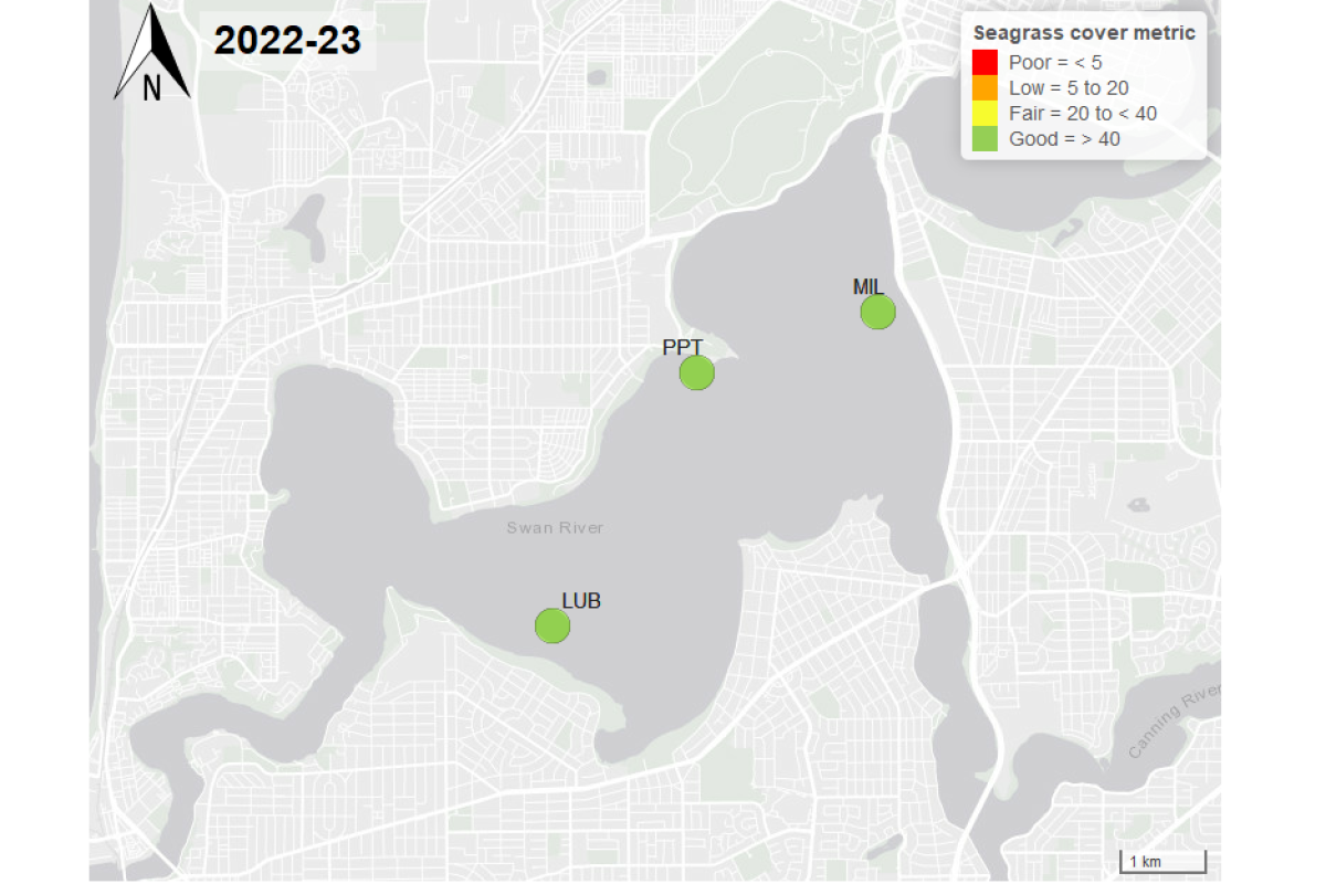 Figure 1: Seagrass cover metric within the Swan-Canning Estuary 2022-23. Cover was reported as being ‘fair’ in the 2023–24 summer period at five of the six sites. Only two sites recovered in the summer of 2024–25. 