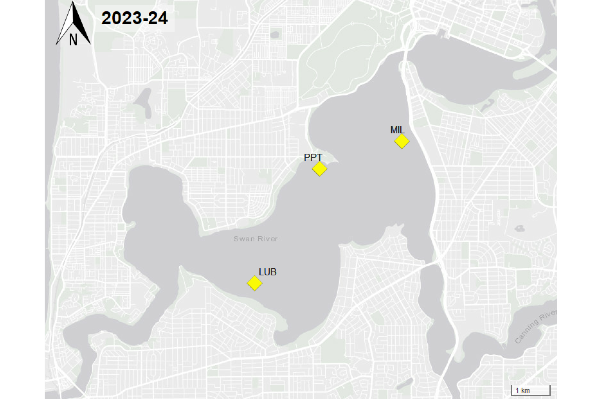 Figure 1: Seagrass cover metric within the Swan-Canning Estuary 2023-24. Cover was reported as being ‘fair’ in the 2023–24 summer period at five of the six sites. Only two sites recovered in the summer of 2024–25. 