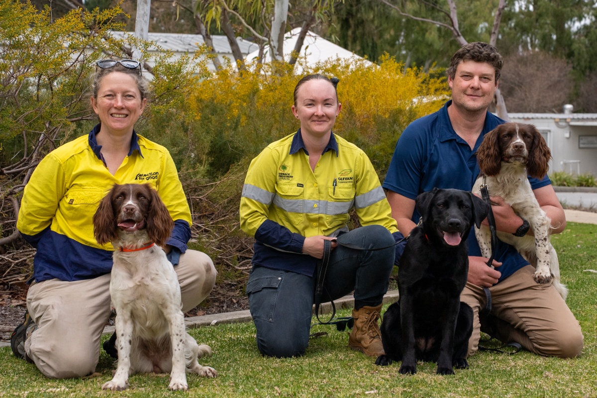 WA Dieback Detector Dogs and their Handlers - Megan Barnes and Kelly from Detection for Good (left), and Danica Delaporte and Squid (centre) and Liam Brown and Milo (right) from Glevan Consulting.