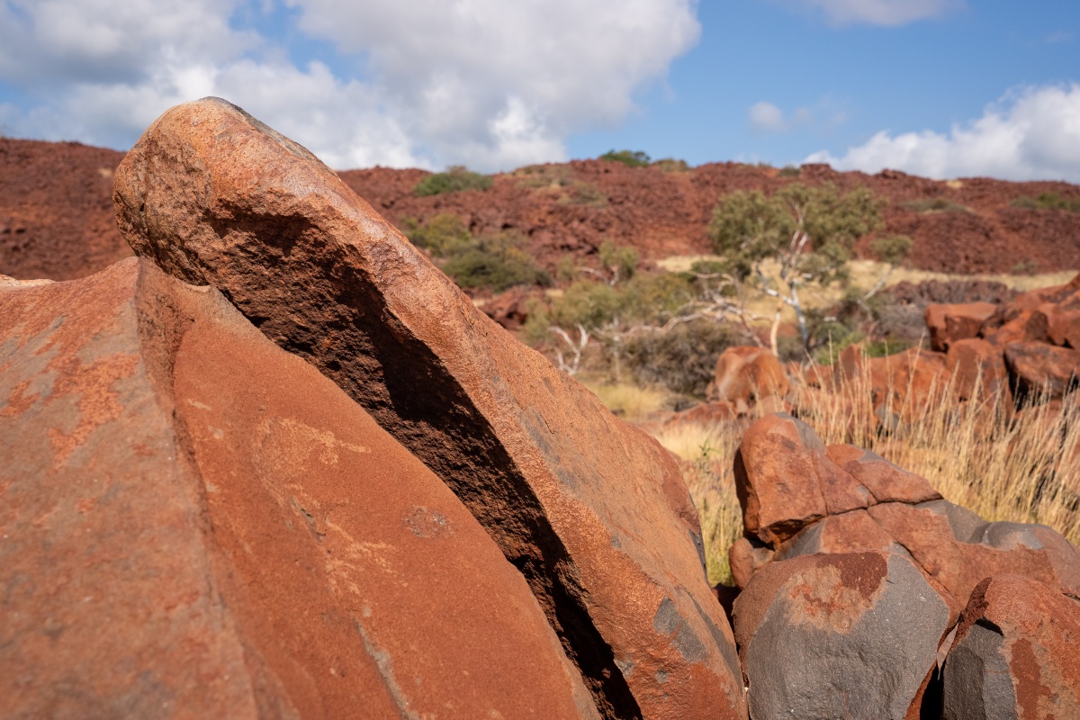 Murujuga petroglyph. Photo by Miles Brotherson/DBCA