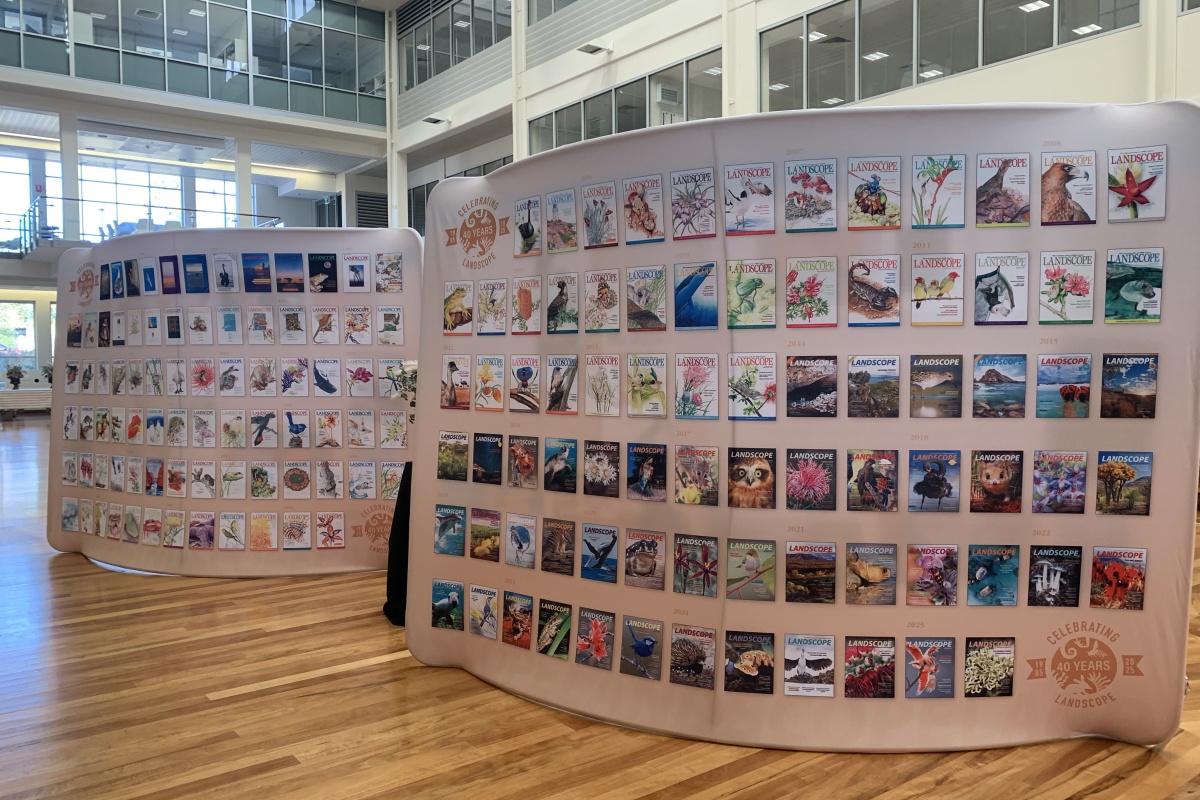 Two large banners with magazine covers